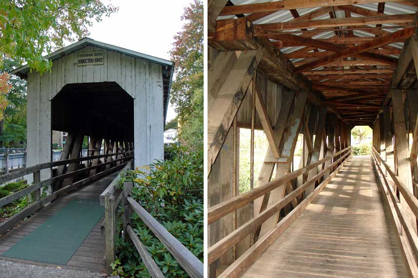 centennial foot bridge