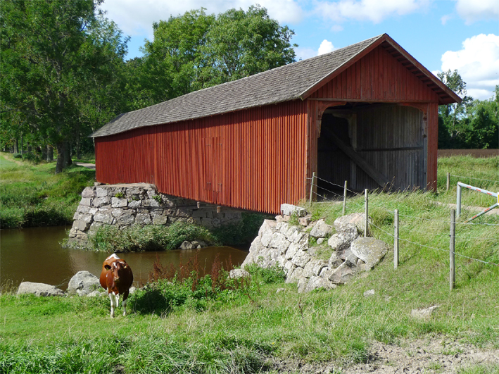 pont couvert suede